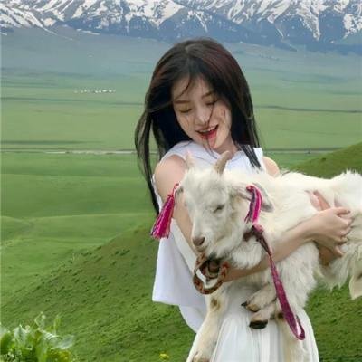乘风而上的她 在线观看封面
